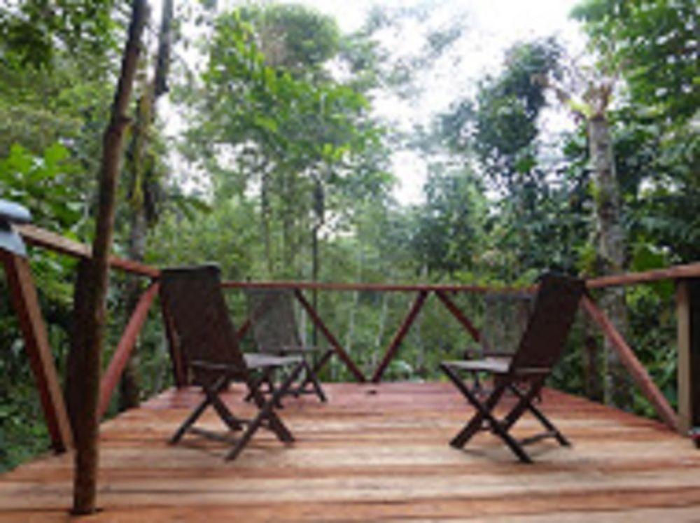 Отель Lupa Masa Jungle Camp Gua Sai Экстерьер фото